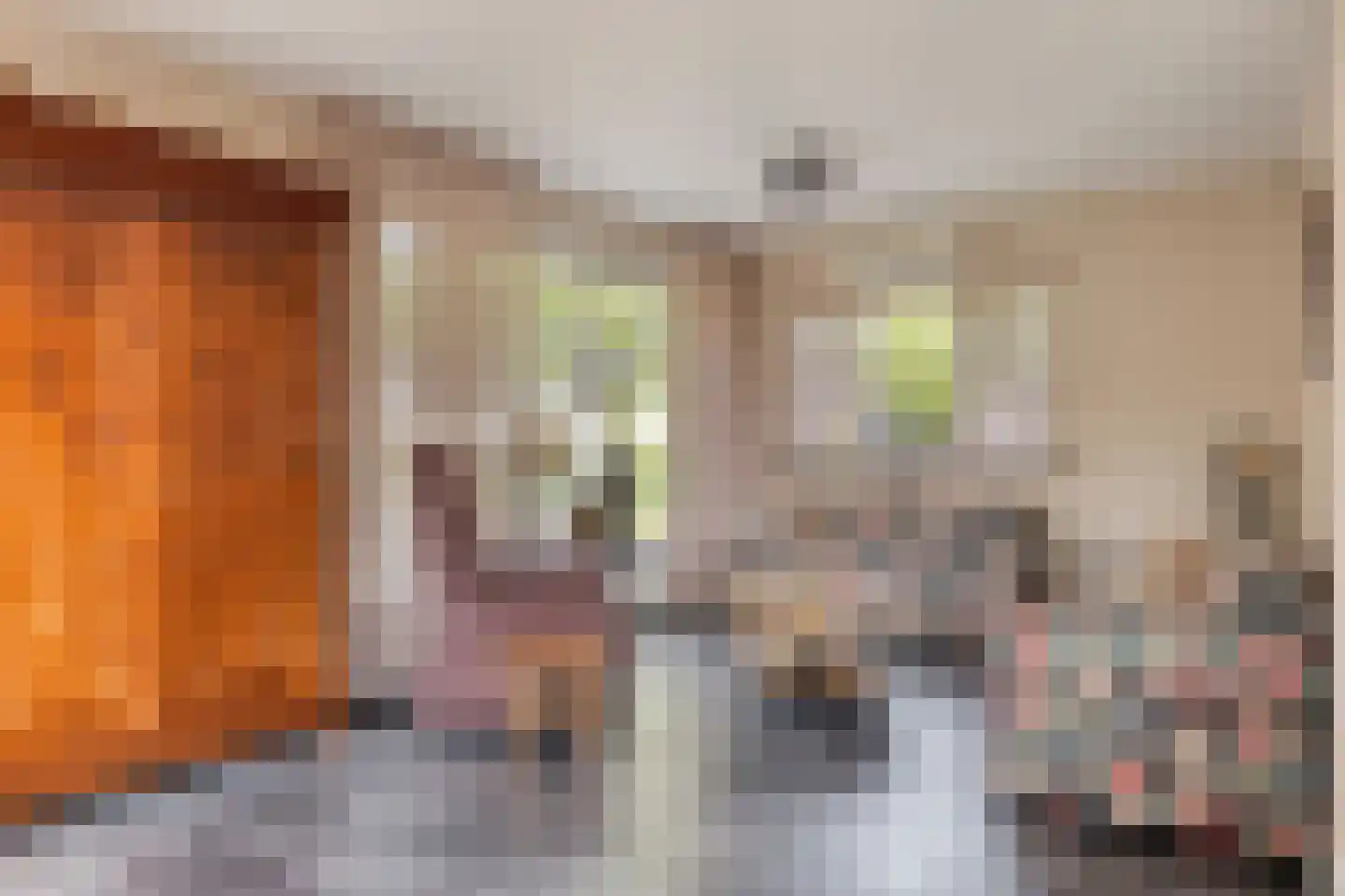 Edeseweg 11 A Lunteren thumbnail 9