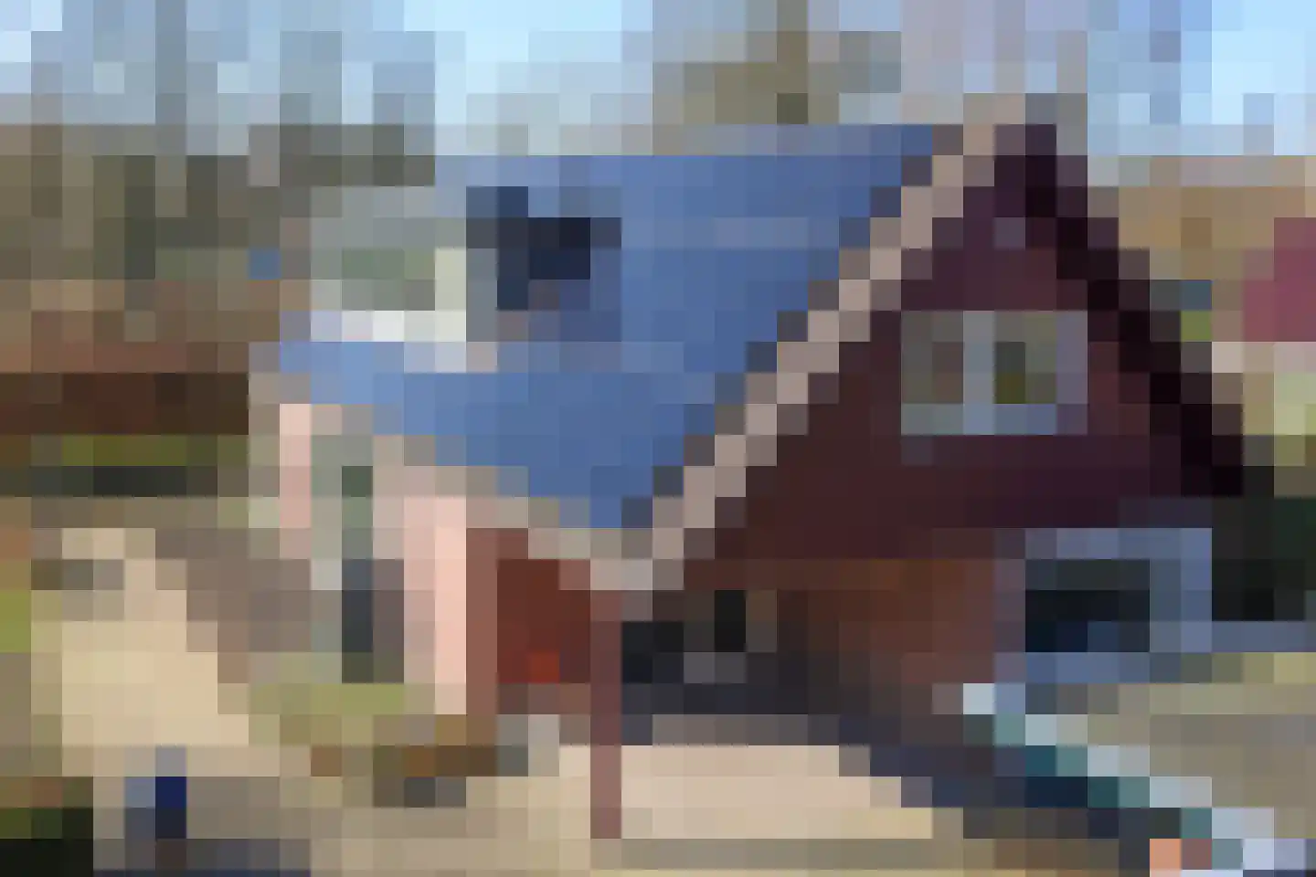 Edeseweg 20 Lunteren thumbnail 36