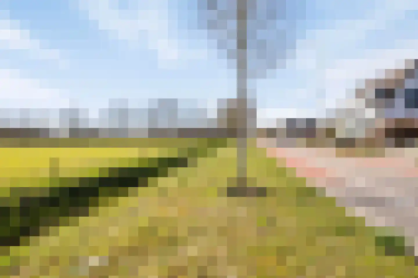 Edeseweg 21 2 Wekerom thumbnail 19