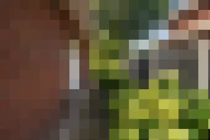 Edeseweg 23 Lunteren thumbnail 38