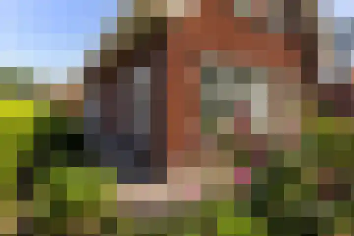 Edeseweg 23 Lunteren thumbnail 39