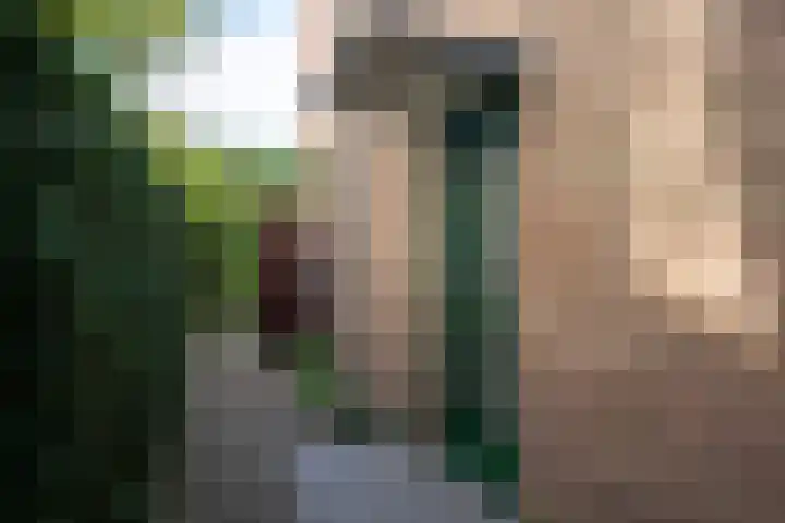 Edeseweg 24 A Bennekom thumbnail 10