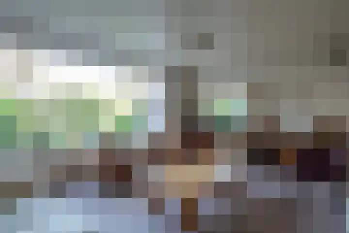 Edeseweg 24 A Bennekom thumbnail 14