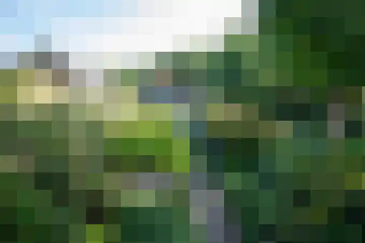 Edeseweg 24 A Bennekom thumbnail 6
