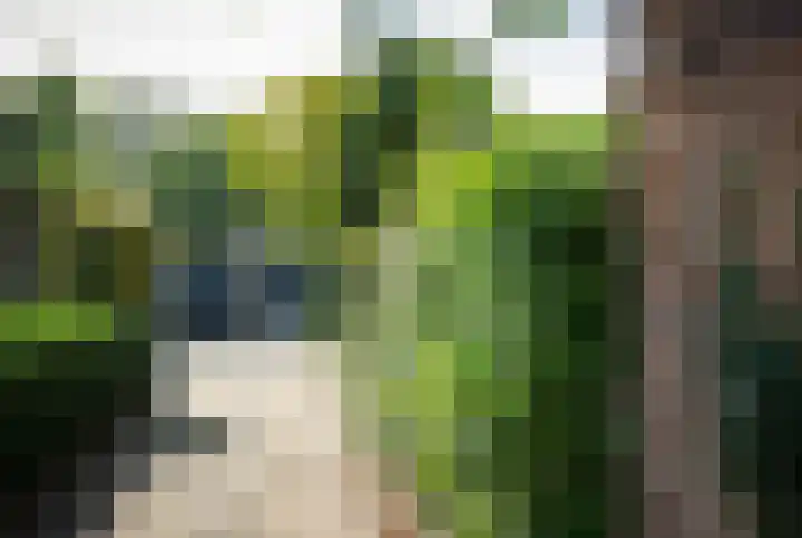 Edeseweg 24 A Bennekom thumbnail 8