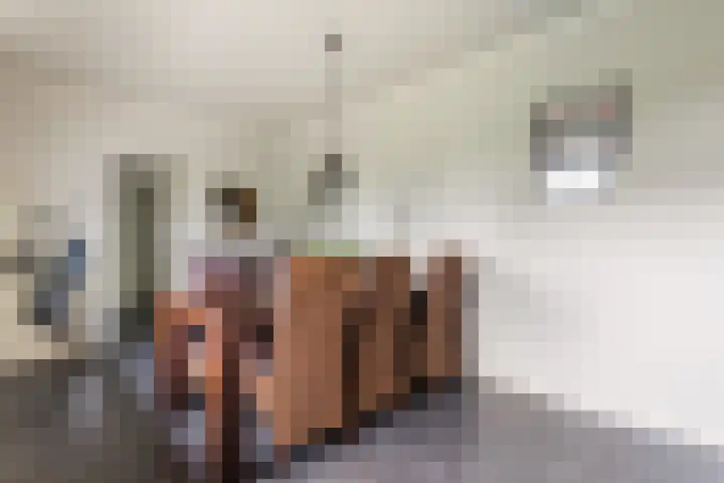 Edeseweg 34 Lunteren thumbnail 13