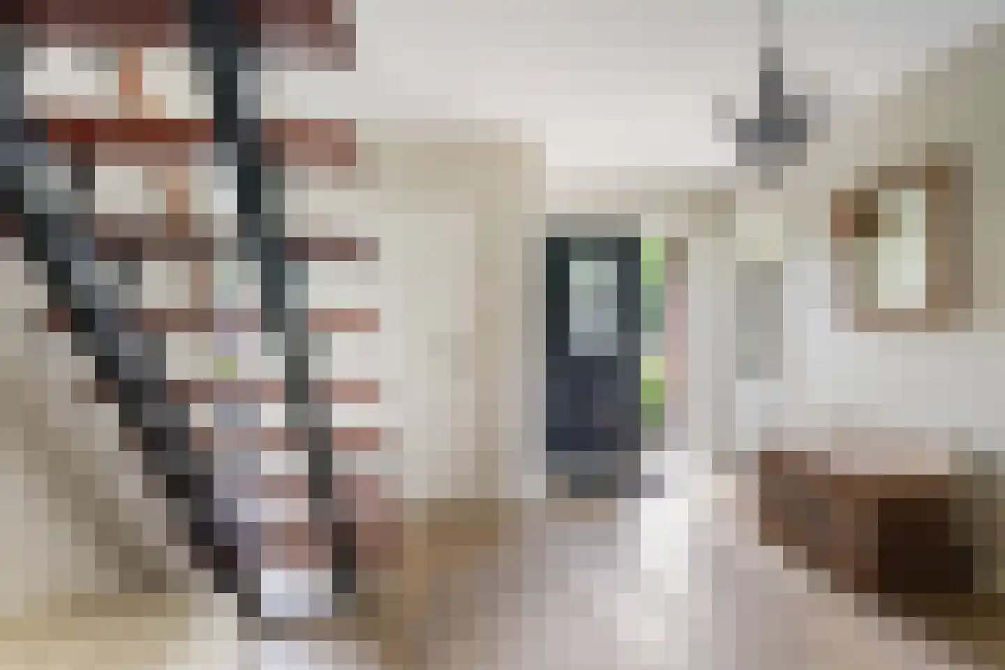 Edeseweg 34 Lunteren thumbnail 20