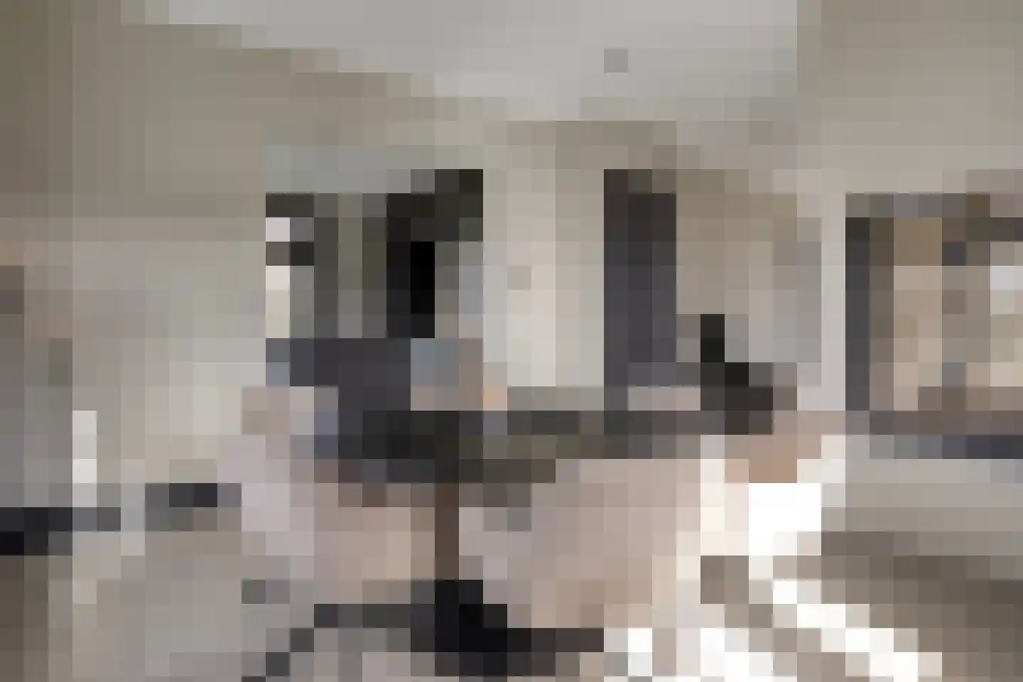 Edeseweg 39 Lunteren thumbnail 16