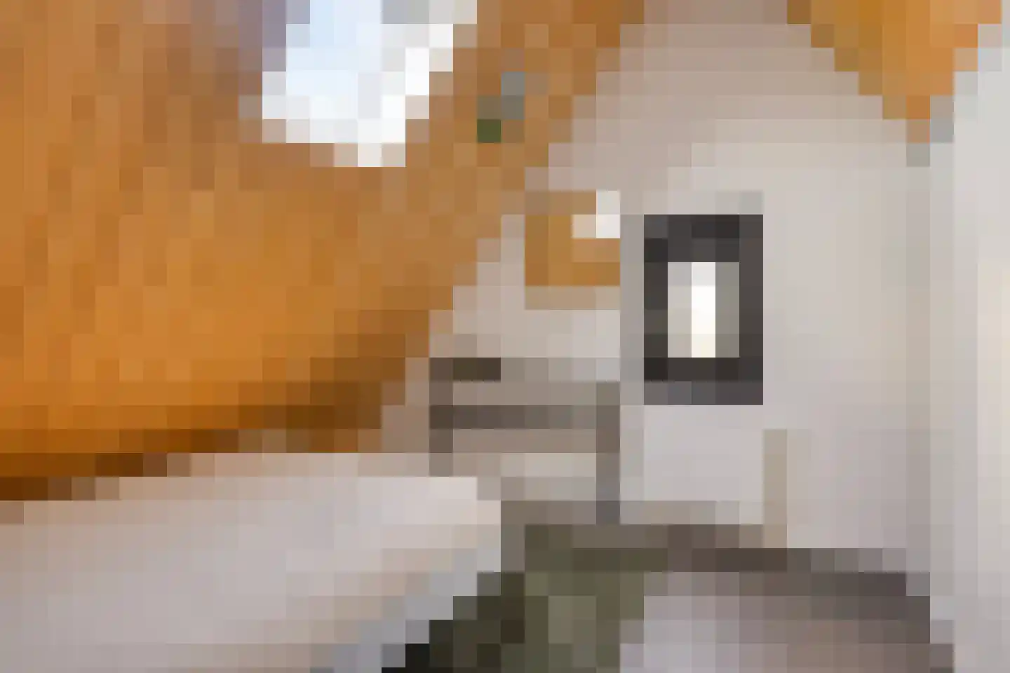 Edeseweg 39 Lunteren thumbnail 39