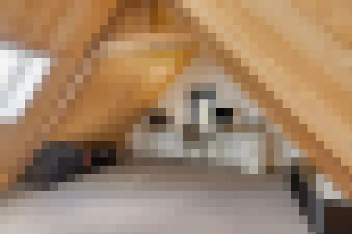 Edeseweg 39 Lunteren thumbnail 51