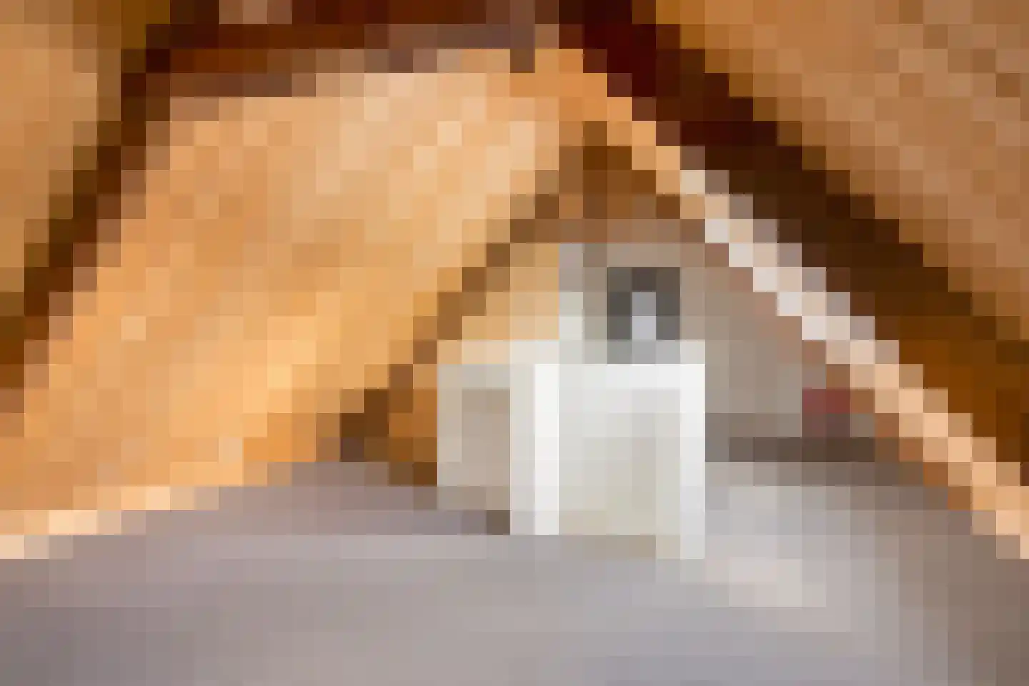 Edeseweg 39 Lunteren thumbnail 52