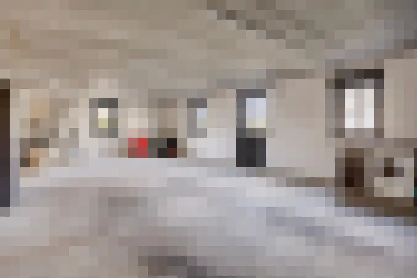 Edeseweg 39 Lunteren thumbnail 56