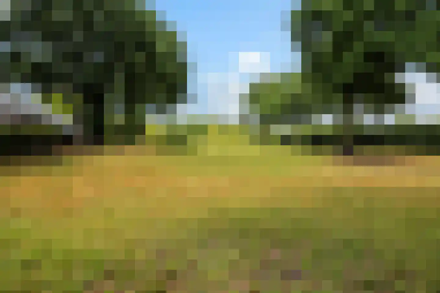 Edeseweg 4 Otterlo thumbnail 43