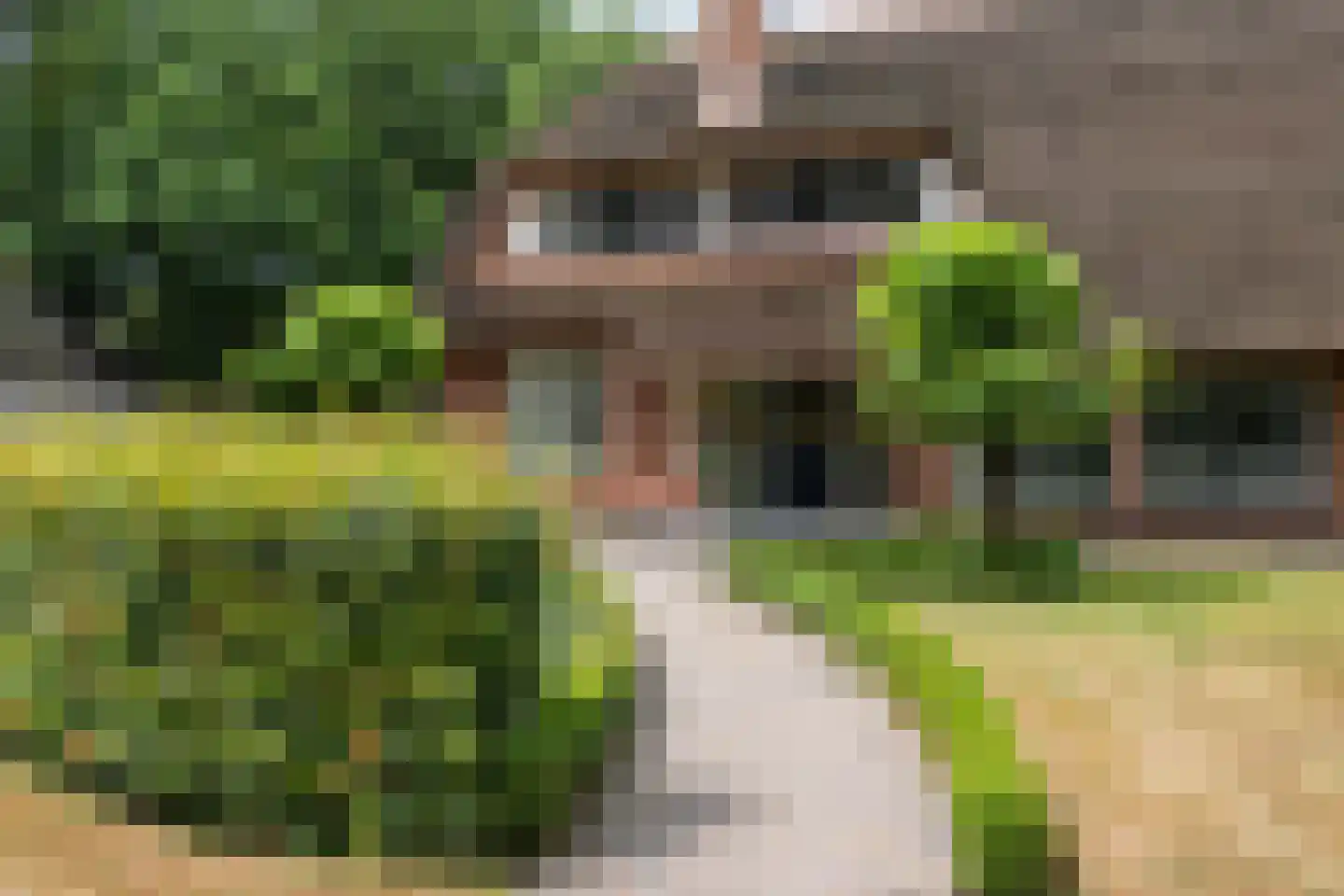 Edeseweg 4 Otterlo thumbnail 54