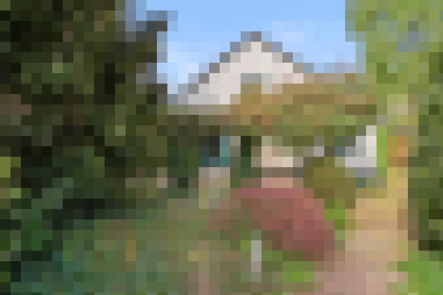 Edeseweg 54 Bennekom thumbnail 13