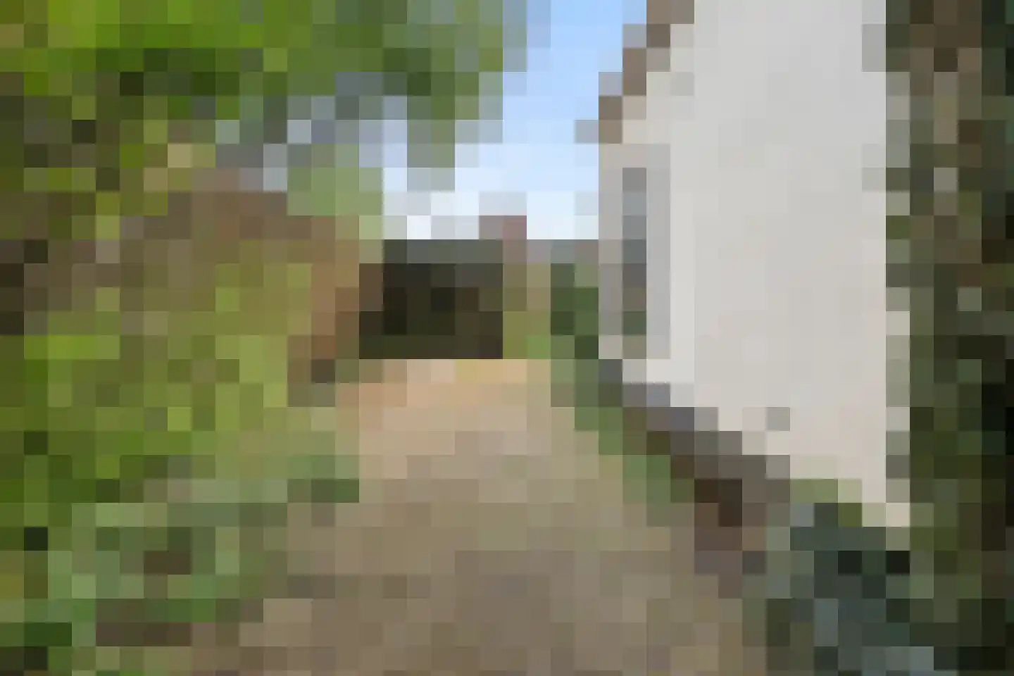 Edeseweg 54 Bennekom thumbnail 9