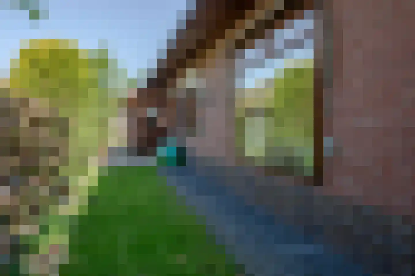 Edeseweg 59 Wekerom thumbnail 51