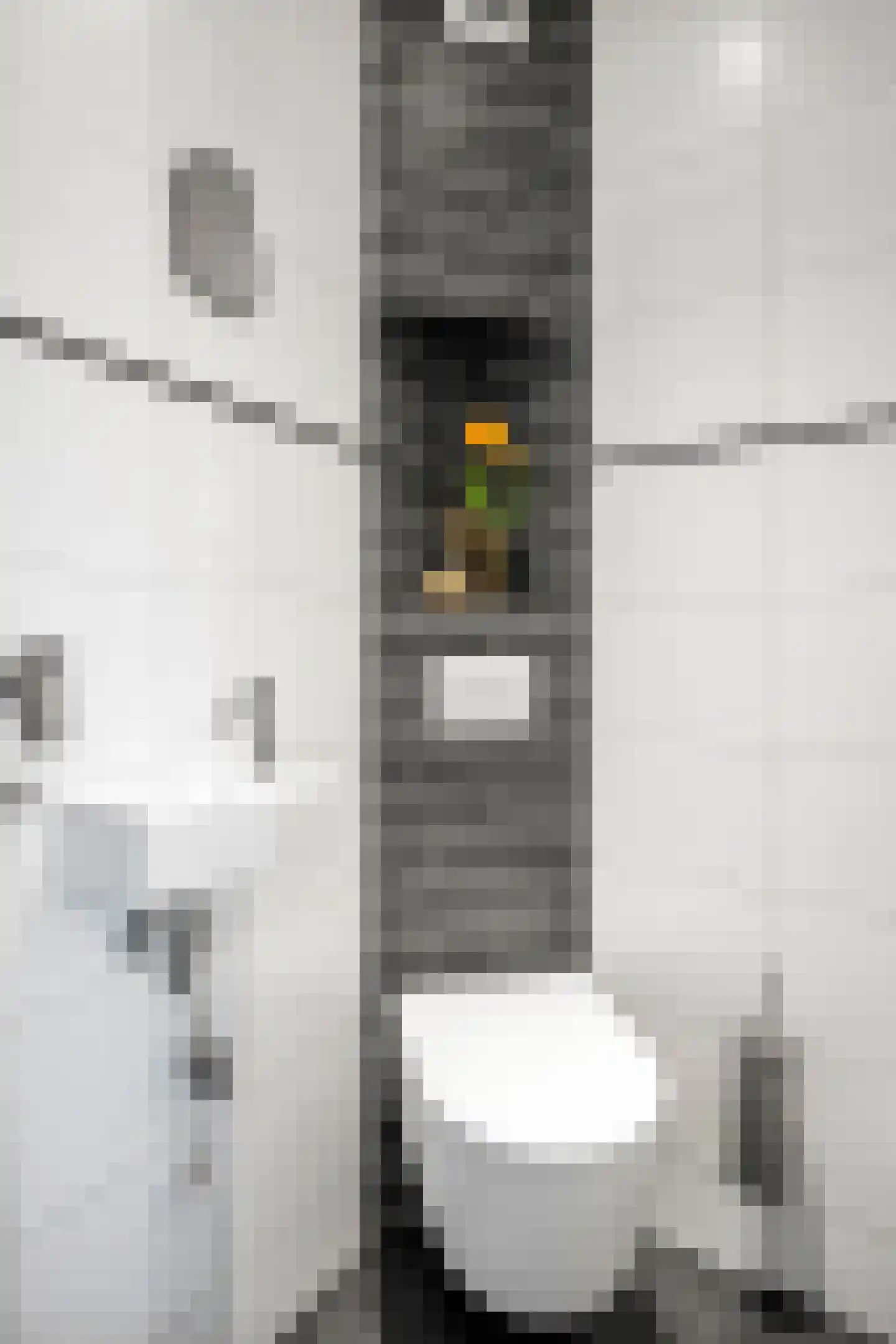 Edeseweg 69 Bennekom thumbnail 21