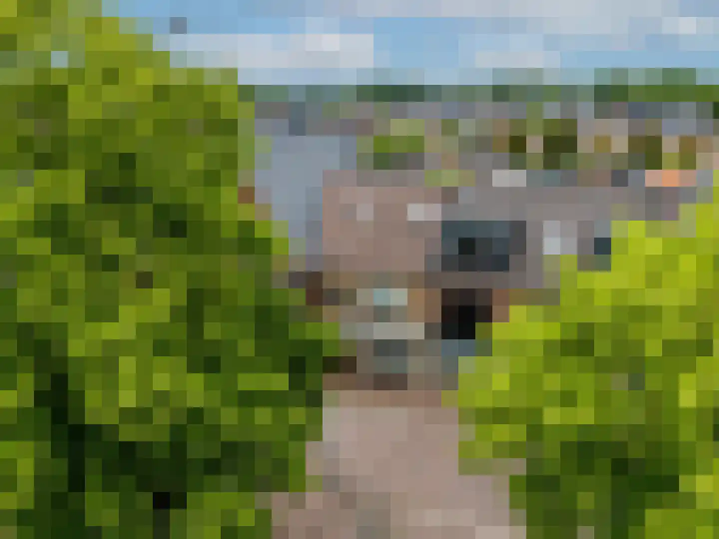 Edeseweg 69 Wekerom thumbnail 23