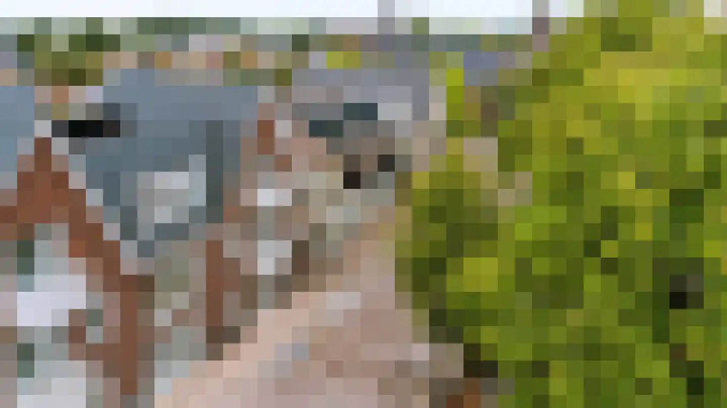 Edeseweg 71 Wekerom thumbnail 34