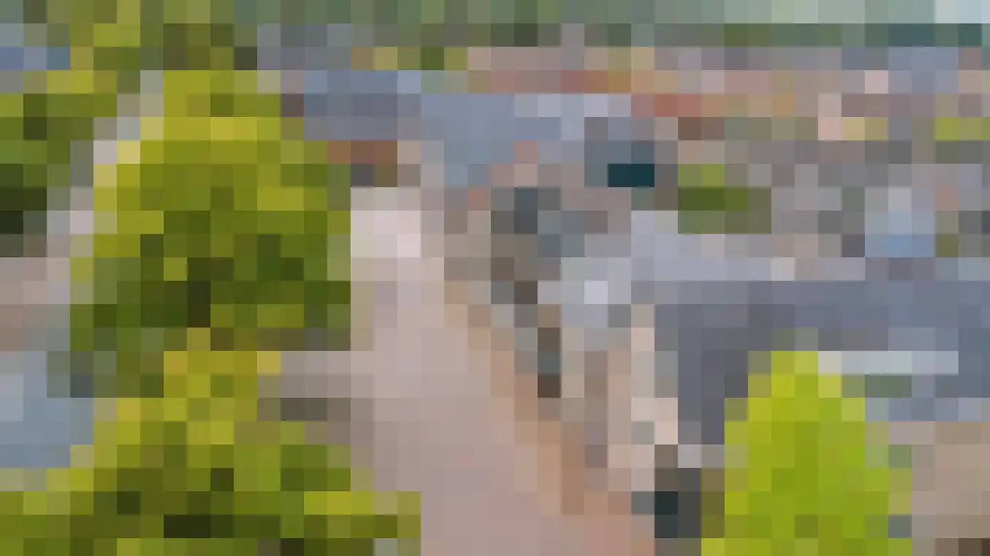 Edeseweg 71 Wekerom thumbnail 35