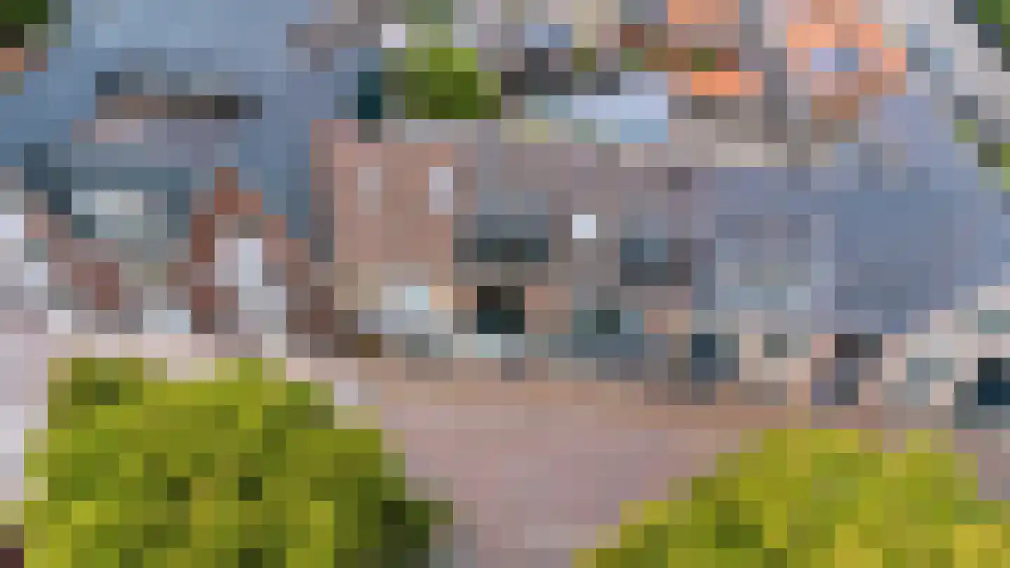 Edeseweg 71 Wekerom thumbnail 36
