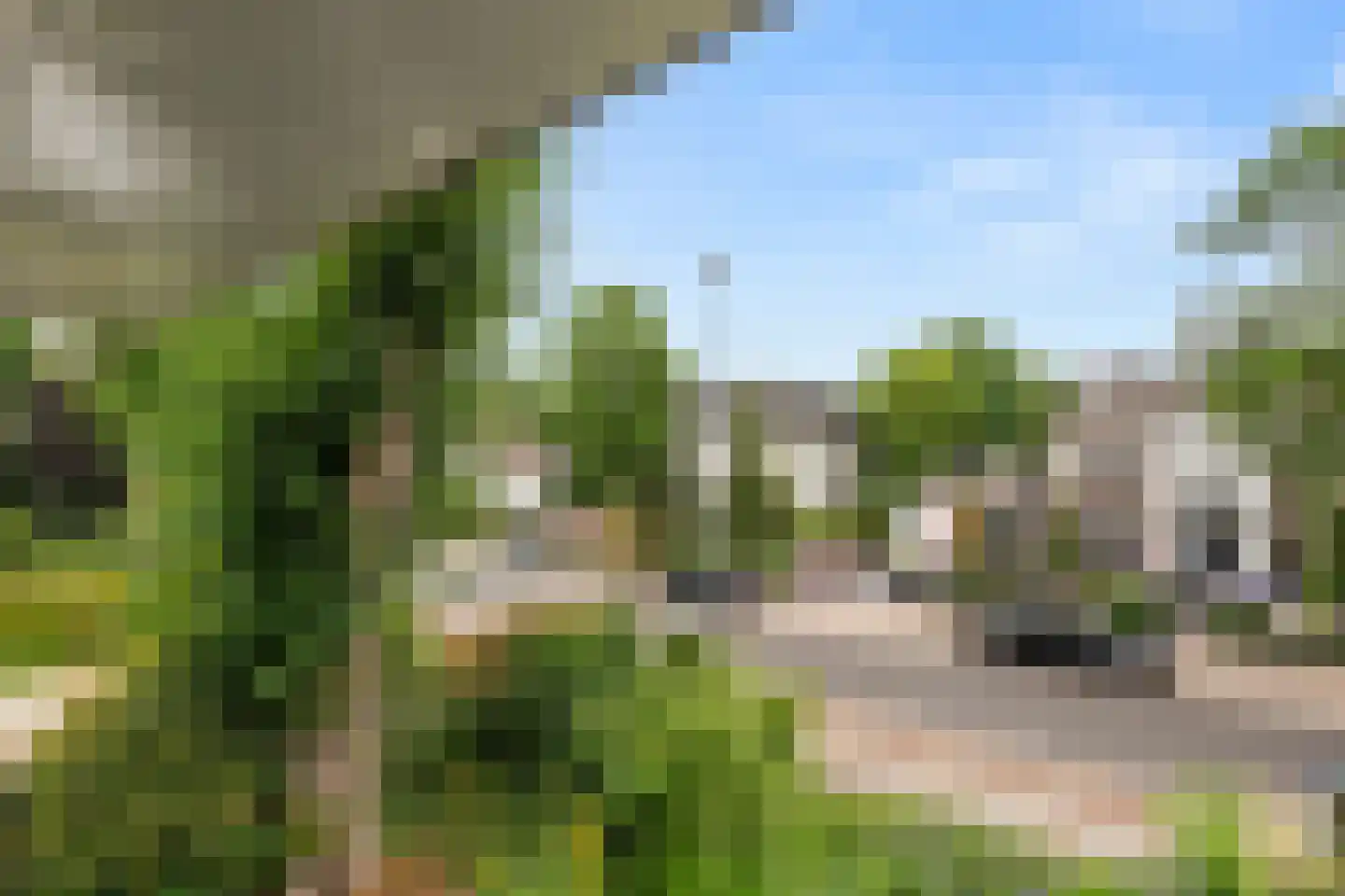 Edeseweg 81 4 Bennekom thumbnail 25