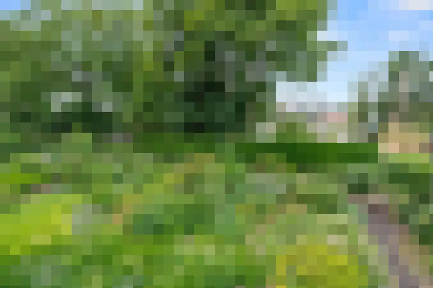 Edeseweg 81 4 Bennekom thumbnail 37
