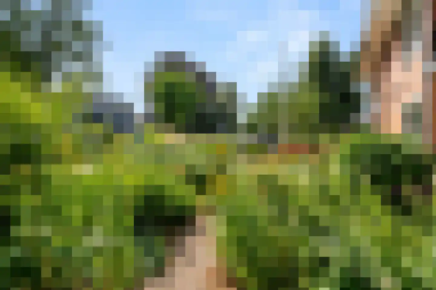 Edeseweg 81 4 Bennekom thumbnail 9