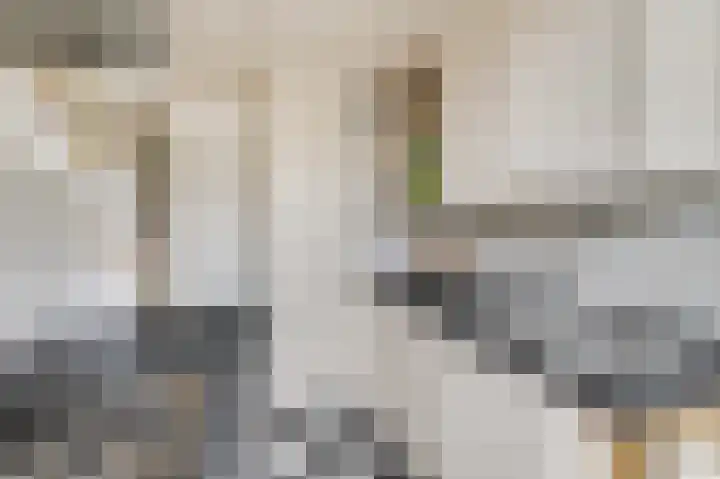 Edeseweg 88 1 Bennekom thumbnail 18
