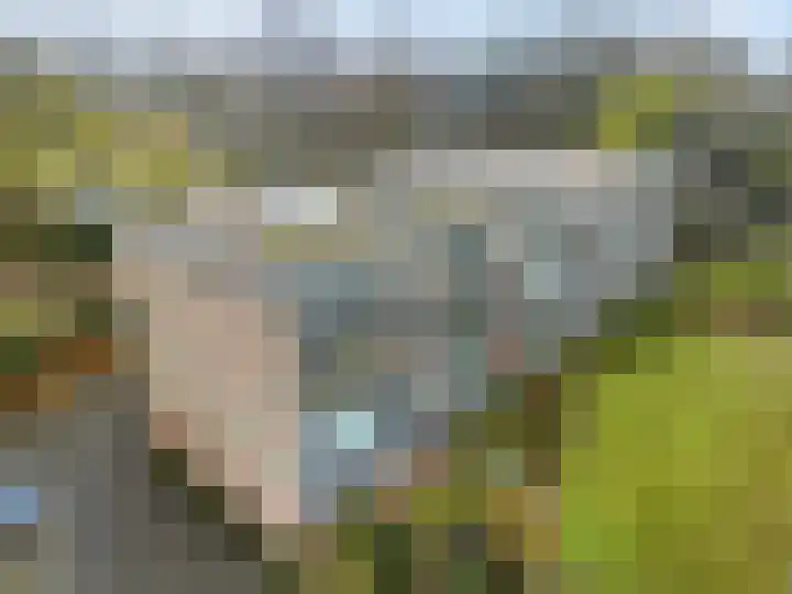 Edeseweg 88 1 Bennekom thumbnail 20