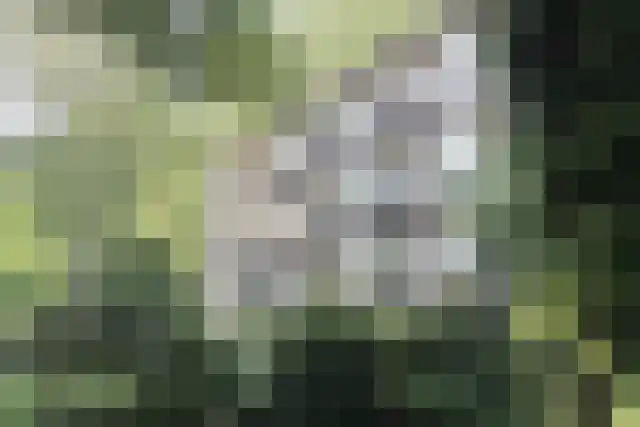 Edeseweg 88 1 Bennekom thumbnail 21