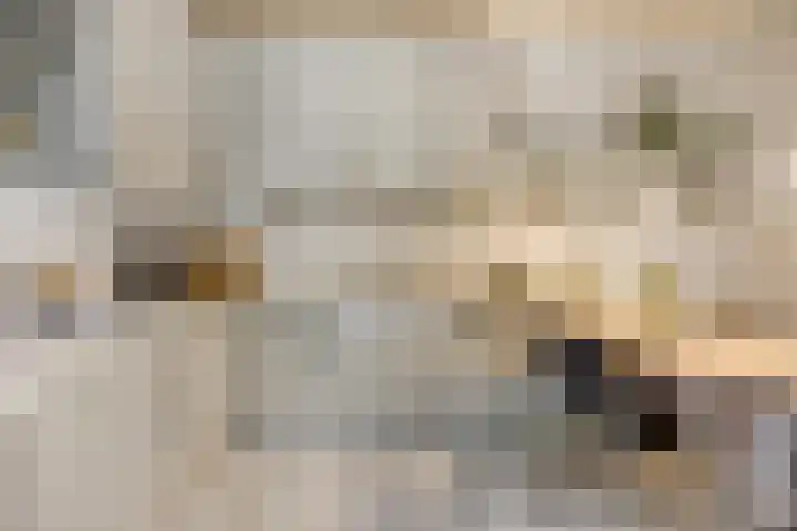 Edeseweg 89 Bennekom thumbnail 19