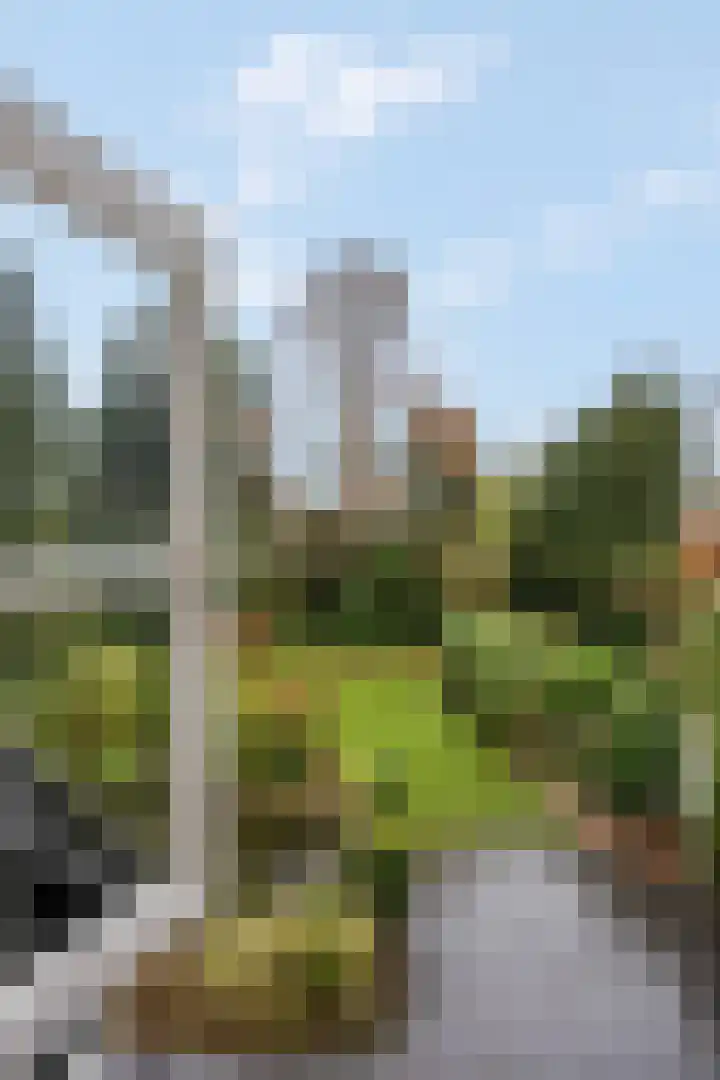 Edeseweg 89 Bennekom thumbnail 38