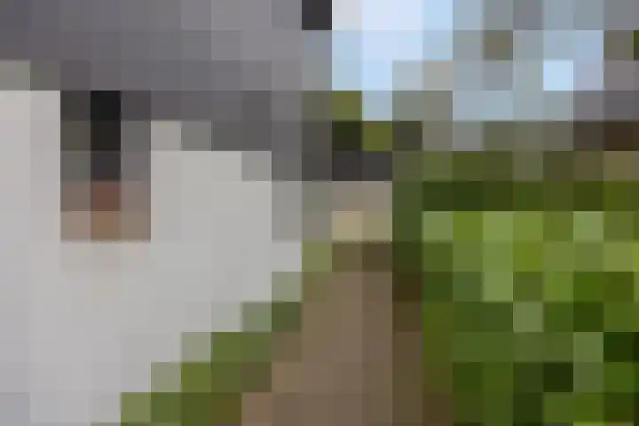 Edeseweg 89 Bennekom thumbnail 54