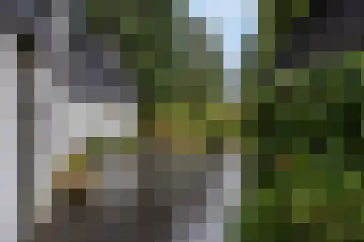 Edeseweg 89 Bennekom thumbnail 56