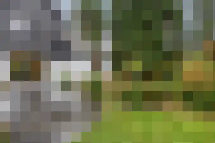 Edeseweg 89 Bennekom thumbnail 58