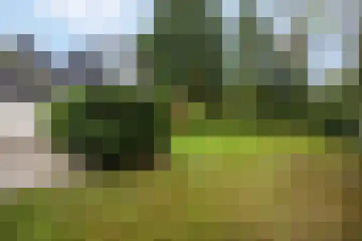 Edeseweg 89 Bennekom thumbnail 59