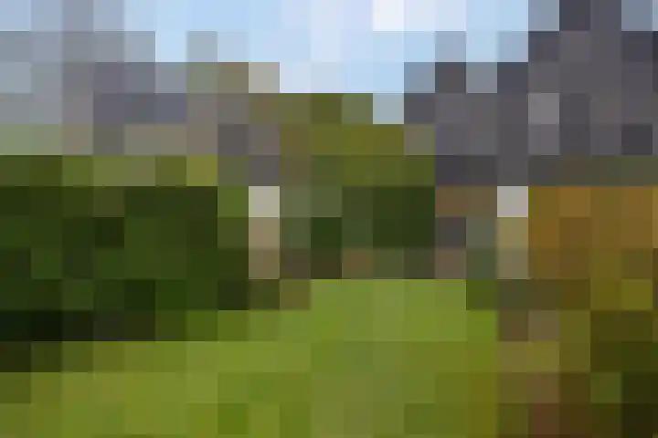 Edeseweg 89 Bennekom thumbnail 61