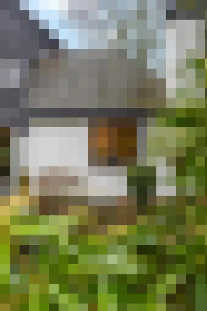 Edeseweg 89 Bennekom thumbnail 62