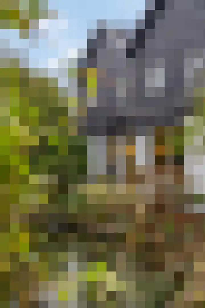 Edeseweg 89 Bennekom thumbnail 63