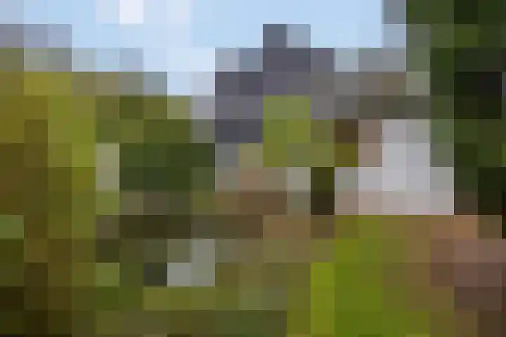 Edeseweg 89 Bennekom thumbnail 64