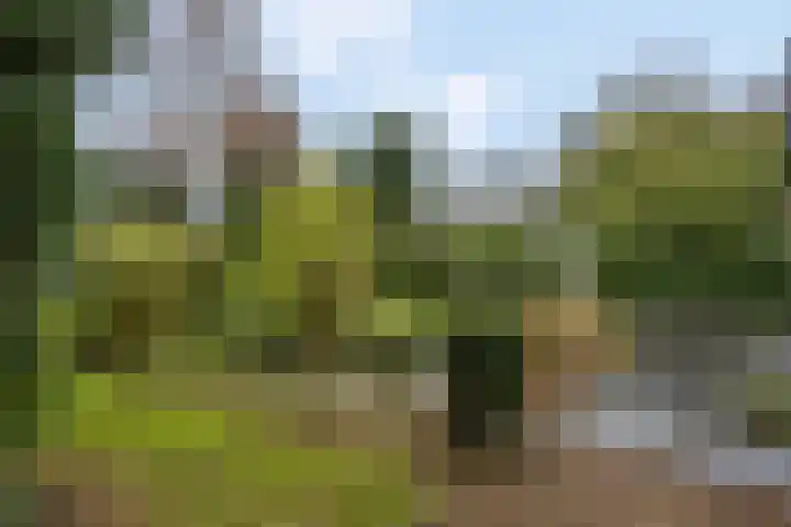 Edeseweg 89 Bennekom thumbnail 65
