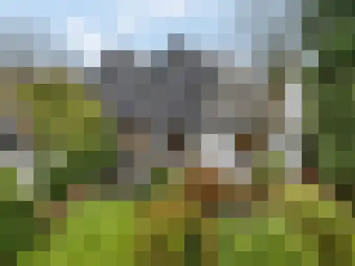 Edeseweg 89 Bennekom thumbnail 72