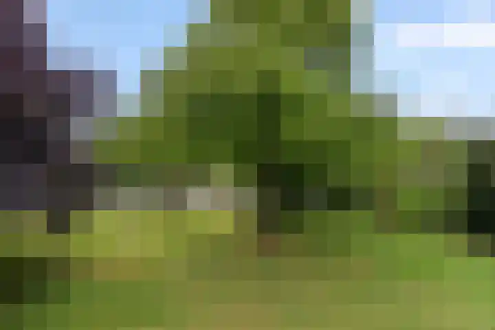 Edeseweg 92 1 Bennekom thumbnail 19