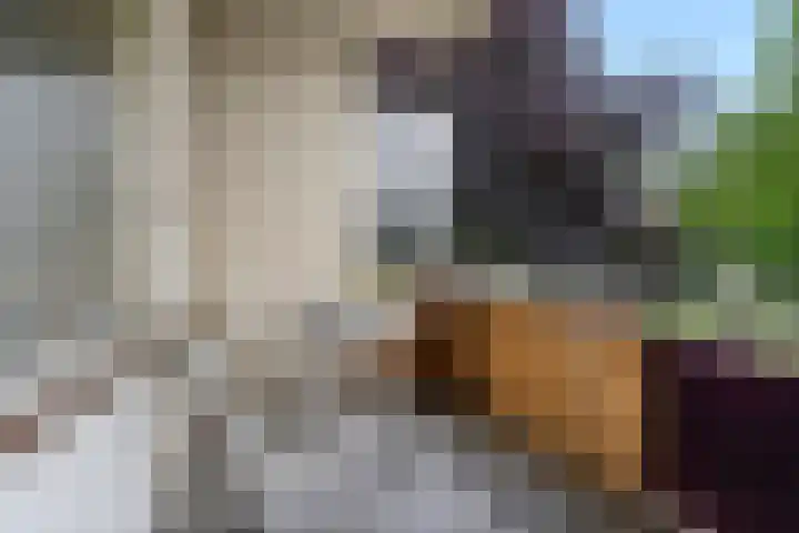 Edeseweg 92 1 Bennekom thumbnail 9