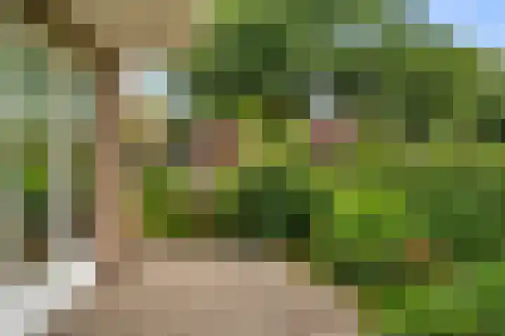 Edeseweg 93 Bennekom thumbnail 12