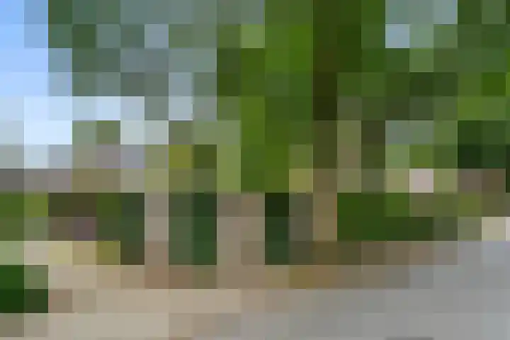 Edeseweg 93 Bennekom thumbnail 13
