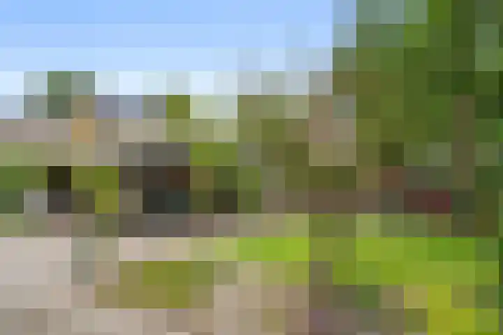 Edeseweg 93 Bennekom thumbnail 15