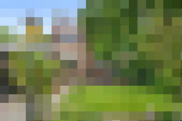 Edeseweg 93 Bennekom thumbnail 17